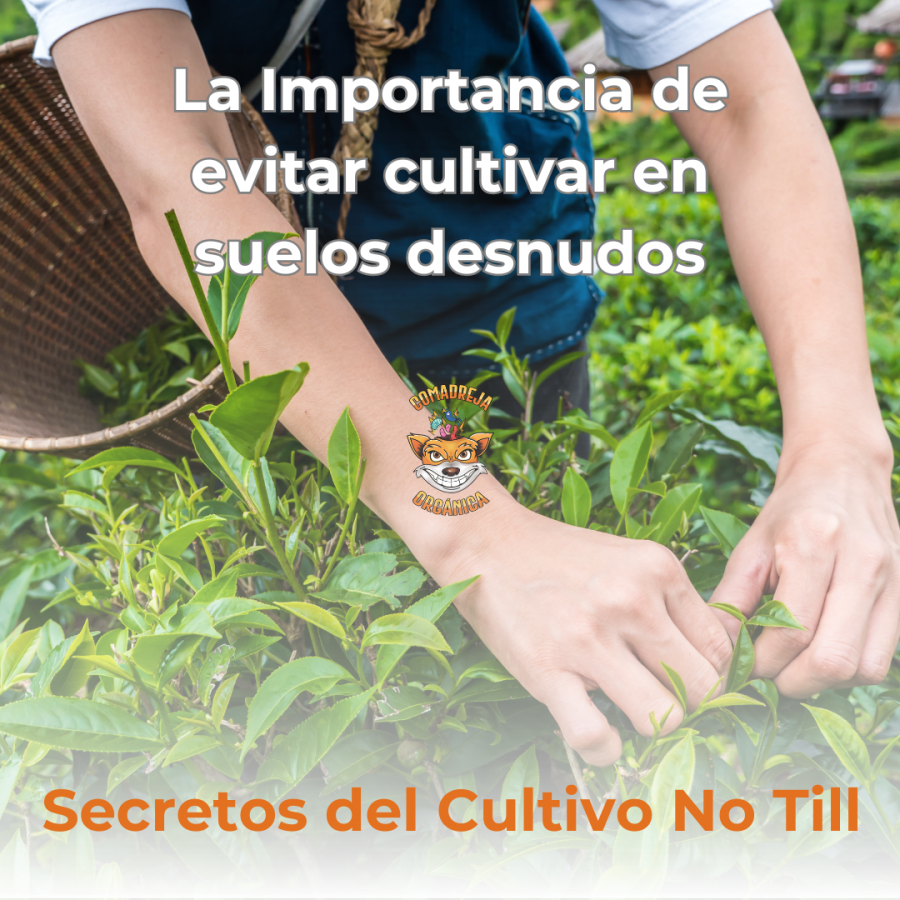 La Importancia de Evitar Cultivar en Suelos Desnudos