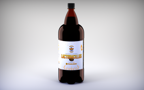 Lactobacillus Plant Based - 2L